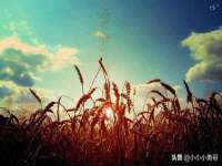 上海争力网络科技有限公司