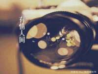 上海争力网络科技有限公司