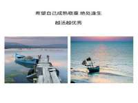 上海争力网络科技有限公司