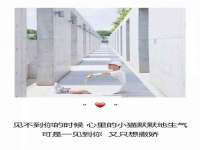上海争力网络科技有限公司