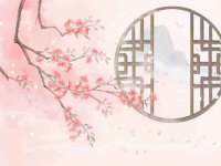 上海争力网络科技有限公司