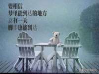 上海争力网络科技有限公司