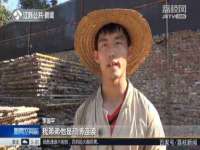 上海争力网络科技有限公司