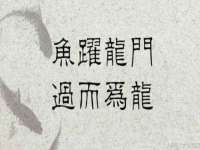 上海争力网络科技有限公司