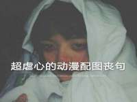上海争力网络科技有限公司