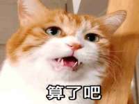 上海争力网络科技有限公司