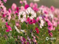 上海争力网络科技有限公司