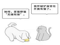 上海争力网络科技有限公司