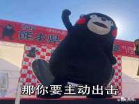 上海争力网络科技有限公司