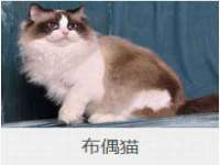 上海争力网络科技有限公司