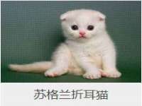上海争力网络科技有限公司