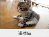 上海争力网络科技有限公司