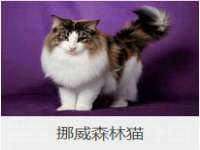上海争力网络科技有限公司