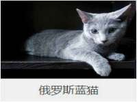 上海争力网络科技有限公司