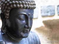 上海争力网络科技有限公司