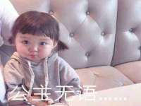 上海争力网络科技有限公司