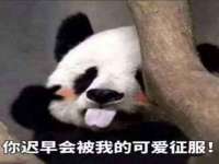 上海争力网络科技有限公司