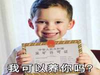 上海争力网络科技有限公司