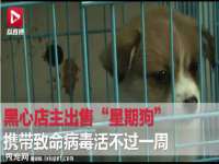 上海争力网络科技有限公司