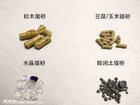 上海争力网络科技有限公司