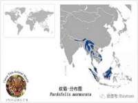 上海争力网络科技有限公司