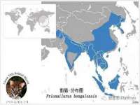 上海争力网络科技有限公司
