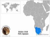 上海争力网络科技有限公司