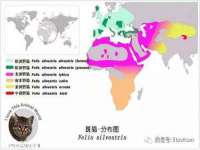 上海争力网络科技有限公司