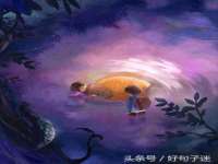 上海争力网络科技有限公司