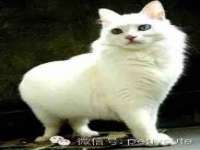 上海争力网络科技有限公司