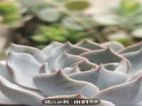 上海争力网络科技有限公司