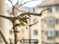 上海争力网络科技有限公司