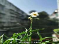 上海争力网络科技有限公司