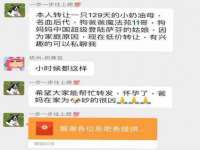 上海争力网络科技有限公司