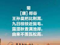 上海争力网络科技有限公司
