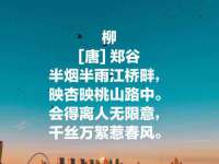 上海争力网络科技有限公司