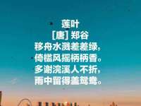 上海争力网络科技有限公司