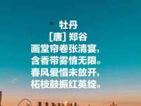 上海争力网络科技有限公司