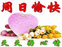 上海争力网络科技有限公司