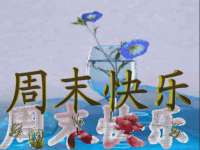 上海争力网络科技有限公司
