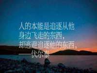 上海争力网络科技有限公司