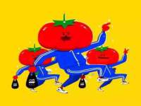 上海争力网络科技有限公司