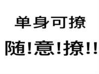 上海争力网络科技有限公司