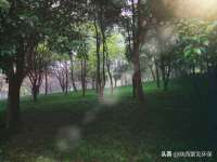 上海争力网络科技有限公司