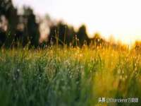 上海争力网络科技有限公司