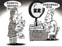 上海争力网络科技有限公司