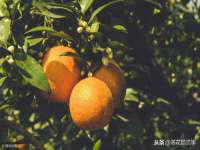上海争力网络科技有限公司