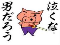 上海争力网络科技有限公司