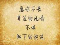 上海争力网络科技有限公司