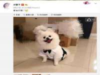 上海争力网络科技有限公司